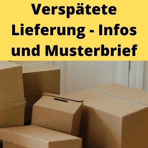 Kunde Behauptet Ware Nicht Erhalten Zu Haben Verspätete Lieferung – Infos und Musterbrief